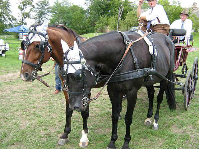 07falunap13.jpg (107177 bytes)