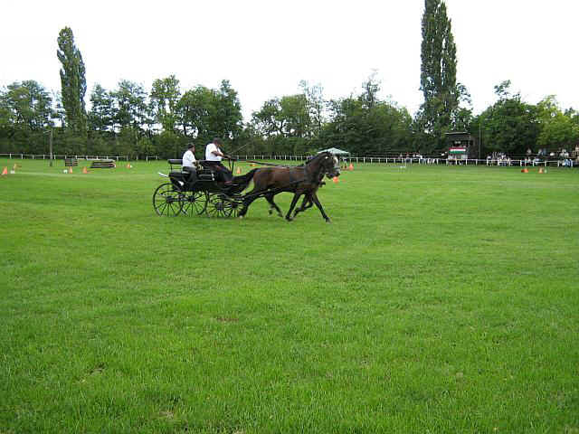 07falunap14.jpg (78518 bytes)