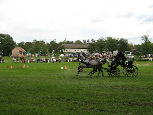 07falunap15.jpg (62615 bytes)