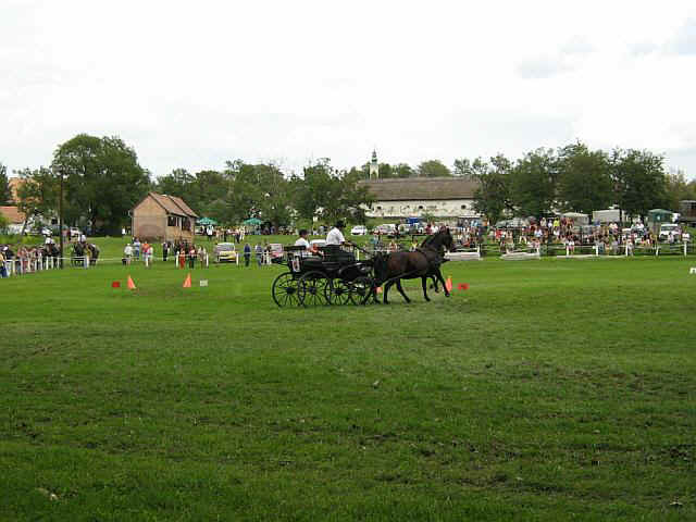 07falunap16.jpg (65326 bytes)