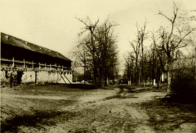 anno1969.jpg (60109 bytes)