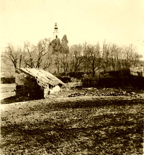 annool1969.jpg (54623 bytes)