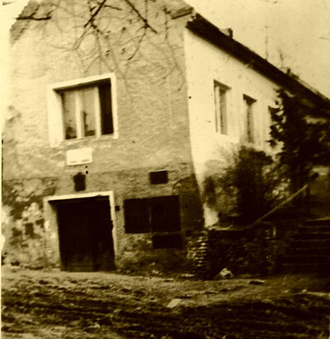 annopince1969.jpg (38068 bytes)